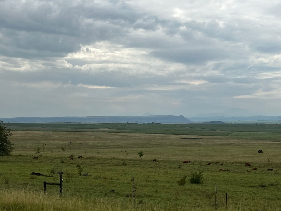 6 Bedroom Property for Sale in Ladybrand Rural Free State